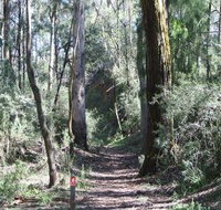 Box Vale Mine Walking Track and Lookout - Tourism Cairns