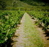 Gartelmann Wines - Tourism Cairns