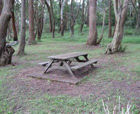 Mount Gibraltar - Tourism Cairns 1