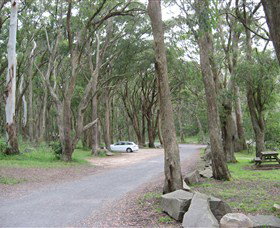 Mount Gibraltar - Tourism Cairns 4