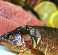 Lovedale Smokehouse Gourmet Pantry Cafe and Masterclasses - Tourism Cairns