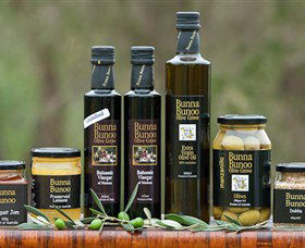 Fishers Hill NSW Tourism Cairns