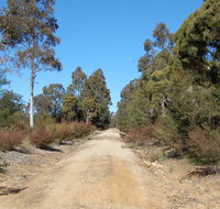 Werakata National Park - Tourism Cairns