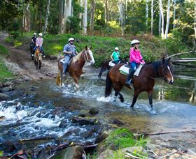 Glenworth Valley Horse Riding - Tourism Cairns 1