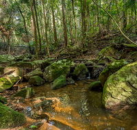 Palm Grove Nature Reserve - Tourism Cairns