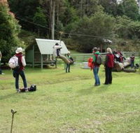 Forest of Tranquillity - Australian Rainforest Sanctuary - Tourism Cairns