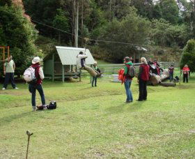 Forest Of Tranquillity - Australian Rainforest Sanctuary - Tourism Cairns 0