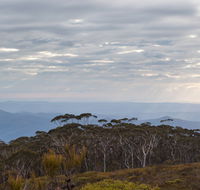 Mount Budawang trail - Tourism Cairns
