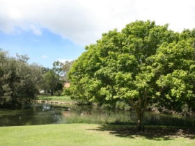 Hervey Bay Botanic Gardens - Tourism Cairns 0