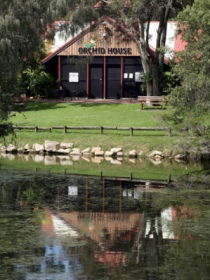 Hervey Bay Botanic Gardens - Tourism Cairns 1