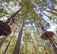 TreeTop Adventure Park Central Coast - Tourism Cairns