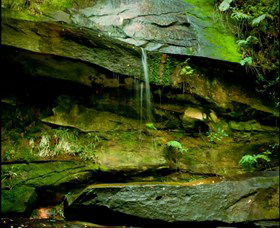 Niagara Park NSW Tourism Cairns