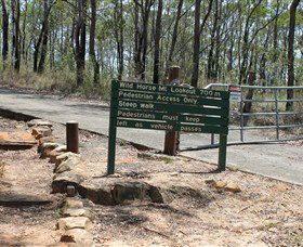 Wild Horse Mountain Lookout - Tourism Cairns 0