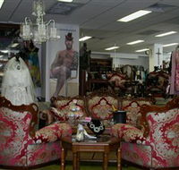 Ussed and Abbussed - Tourism Cairns