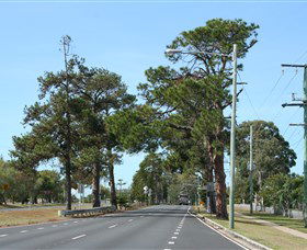 Anzac Memorial Avenue, Redcliffe - Tourism Cairns 2