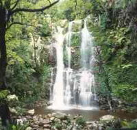 Budderoo National Park - The Falls Walk - Tourism Cairns
