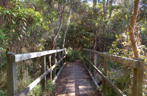 Lake Macquarie State Conservation Area - Tourism Cairns 2