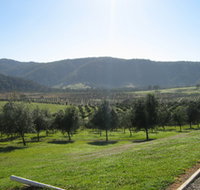 Hastings Valley Olives - Tourism Cairns
