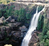 Minnamurra Rainforest Centre Budderoo National Park - Tourism Cairns