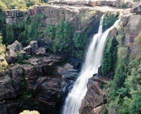 Minnamurra Rainforest Centre: Budderoo National Park - Tourism Cairns 0