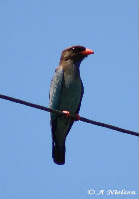 Cooloola Nature - Tourism Cairns 2