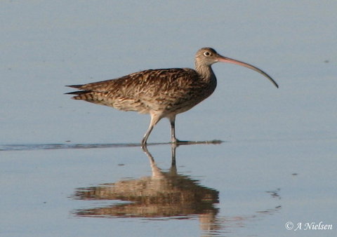 Cooloola Nature - Tourism Cairns 3