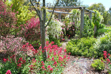 Ivy Hill Gallery - Tourism Cairns 6