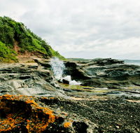 Glenrock State Conservation Area - Tourism Cairns