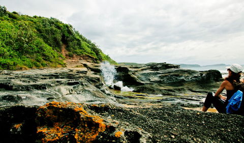 Glenrock State Conservation Area - Tourism Cairns 0