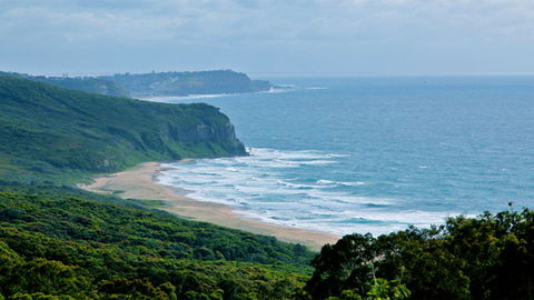 Glenrock State Conservation Area - Tourism Cairns 1