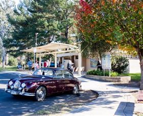 Tourist Drive 2 - Bucketts Way - Tourism Cairns 0