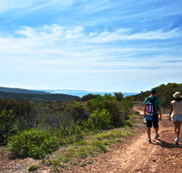 Moonee Beach trail - Tourism Cairns