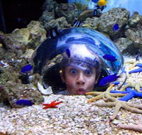 Sea Life Sunshine Coast - Tourism Cairns