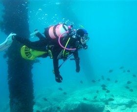 Shellharbour Scuba & Photography Centre - Tourism Cairns 0