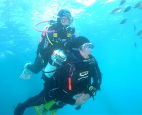 Shellharbour Scuba & Photography Centre - Tourism Cairns 1