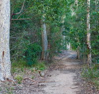 Delta track - Tourism Cairns