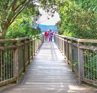 Skywalk lookout - Tourism Cairns