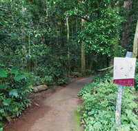 Walk with the Birds boardwalk - Tourism Cairns