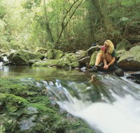 Dave's Creek circuit - Tourism Cairns