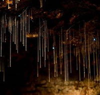 Tamborine Mountain Glow Worm Caves - Tourism Cairns
