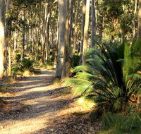 Square Head track 2 - Tourism Cairns