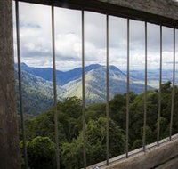 Dorrigo Rainforest Centre - Tourism Cairns