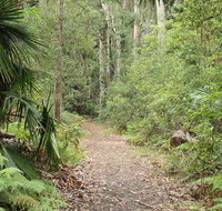 Lake walking track - Tourism Cairns
