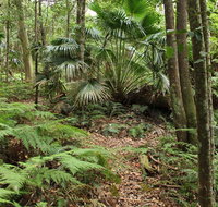 Durras Lake Discovery trail - Tourism Cairns