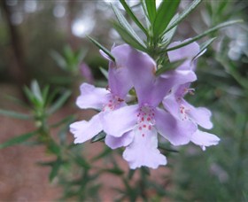 Booderee National Park Botanic Gardens - Tourism Cairns 5