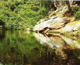 Numinbah Valley Adventure Trails - Tourism Cairns 1