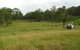Numinbah Valley Adventure Trails - thumb 0