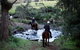 Numinbah Valley Adventure Trails - thumb 3