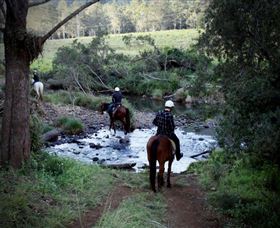 Numinbah Valley Adventure Trails - Tourism Cairns 3