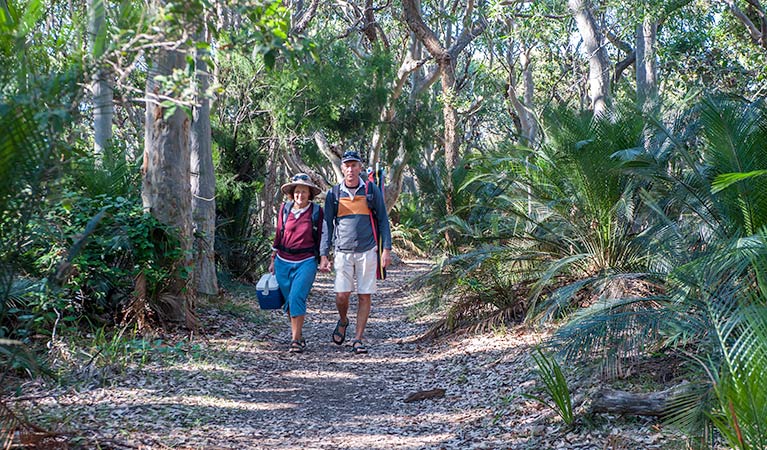 Benandarah NSW Tourism Cairns
